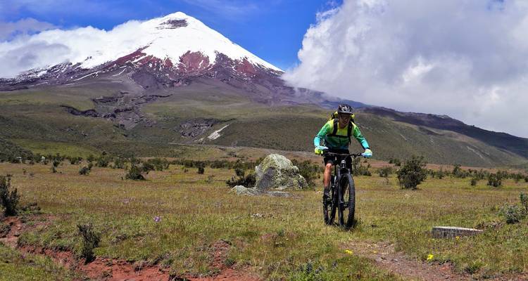 Vététiste devant un volcan enneigé dans un paysage herbeux.