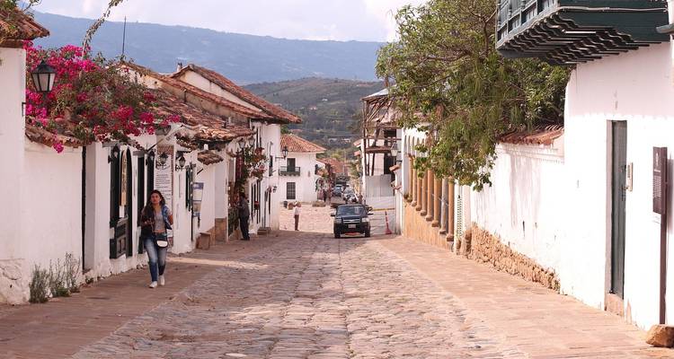 A person walks down a serene and historic cobble-stoned street lined with traditional houses.