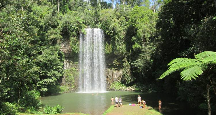 Waterfall cascading into a natural pool surrounded by forest, with people swimming.