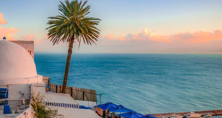 Vue sur l'océan avec palmier et ciel de coucher de soleil vibrant.