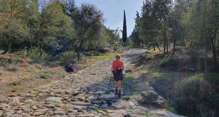 Une personne marchant sur un sentier de pierre à travers une zone boisée avec des arbres épars.