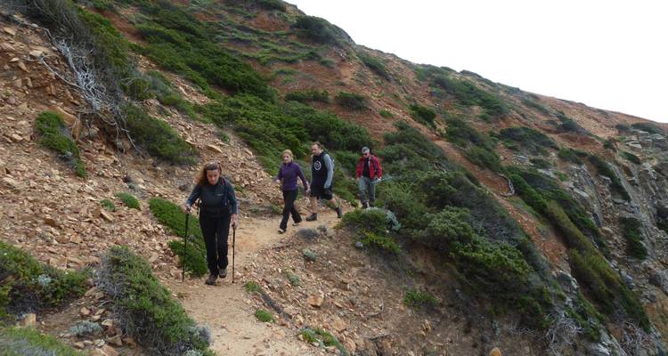 Group of hikers walking on a mountain trail.