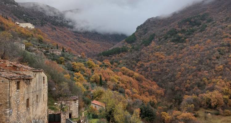 Maisons sur une colline entourées d'un feuillage d'automne dense.