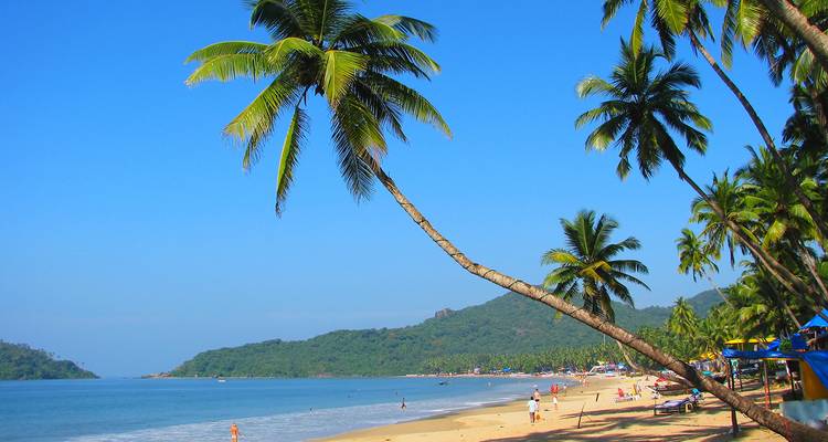 Una playa tropical con palmeras y gente disfrutando del mar.