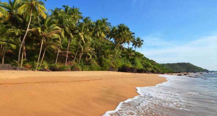 Tramo arenoso apartado rodeado de frondoso bosque de palmeras y olas suaves bajo un cielo azul despejado.
