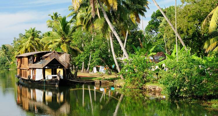 Traditionelles hölzernes Hausboot treibt auf ruhigen, spiegelglatten Backwaters, die von Palmen gerahmt werden.