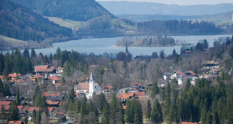 Vista aérea de un lago rodeado por un pueblo y bosque.
