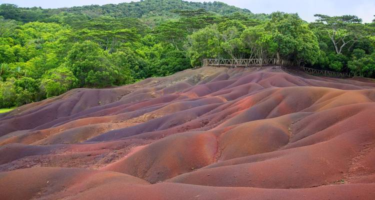 Des dunes de sable colorées et ondulantes entourées d'une végétation luxuriante.