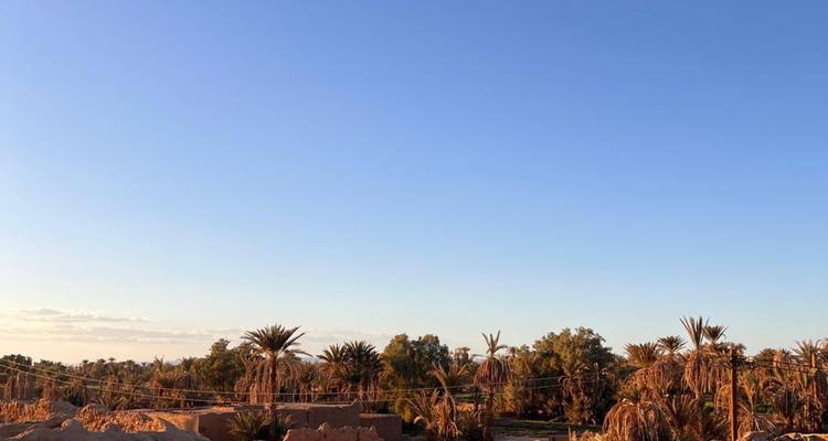 Paysage désertique avec des palmiers et un ciel dégagé.