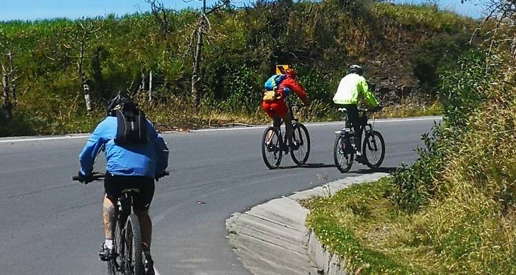 Trois cyclistes roulant en montée sur une route pavée avec de la végétation.