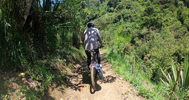 Fietser die rijdt op een smal bospad door dicht bos.