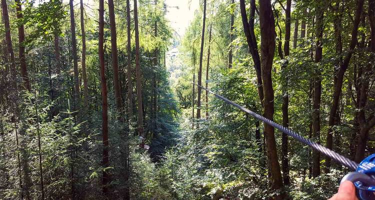 View down a forest zip-line with a gloved hand gripping the cable, tall pines surrounding the adventure route