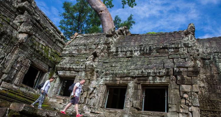 Visitors walk among moss-covered temple ruins with giant tree roots reaching over stone walls.