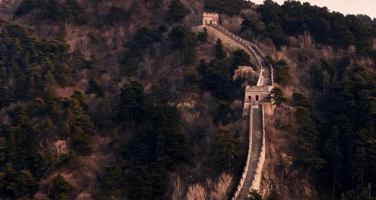 The Great Wall of China amid dense forest.