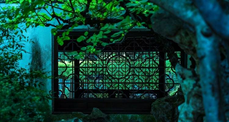 A traditional Chinese window with intricate lattice work seen through foliage.