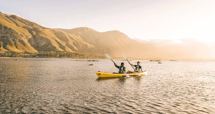 Two people kayaking in a serene lake setting.