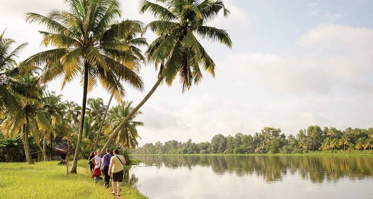Des gens marchant près de palmiers au bord d'un plan d'eau serein.