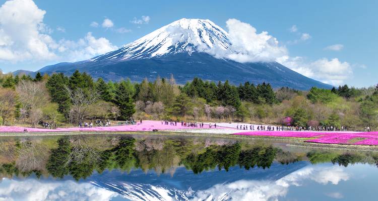 El Monte Fuji coronado de nieve se refleja perfectamente en un lago tranquilo con campos de flox musgoso rosa.