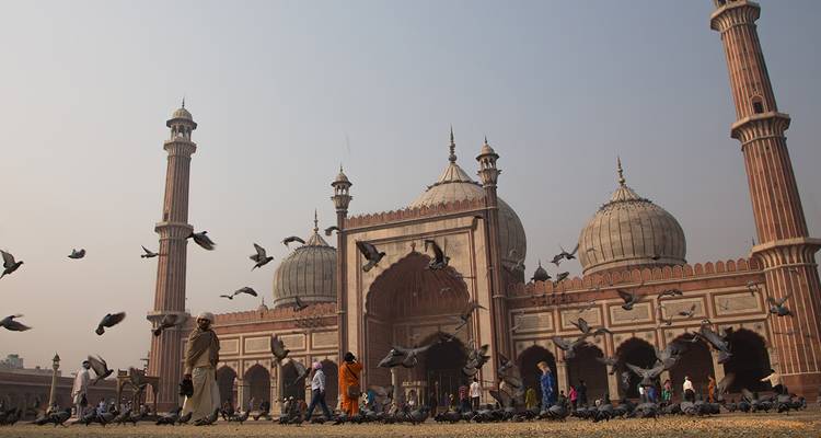 La gente y las palomas se reúnen ante las grandes cúpulas y minaretes de Jama Masjid bajo la luz solar brumosa.