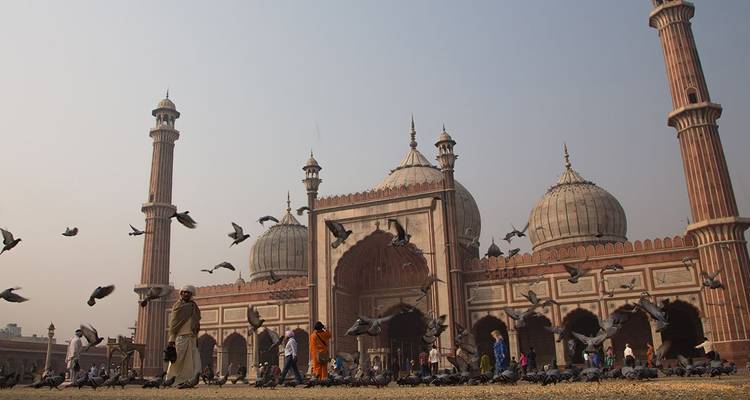 Escena de madrugada en la Jama Masjid con palomas volando y fieles caminando por el patio.