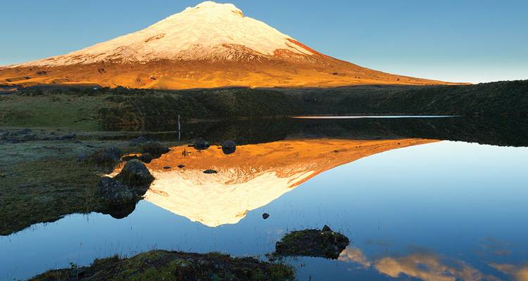 Snow-capped Cotopaxi volcano reflected perfectly in a calm high-altitude lake at dawn.