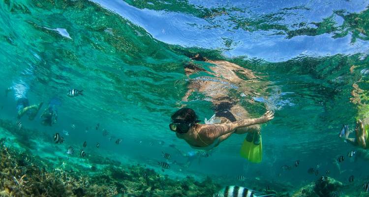 Des gens faisant de la plongée avec tuba dans une scène sous-marine claire avec des poissons.