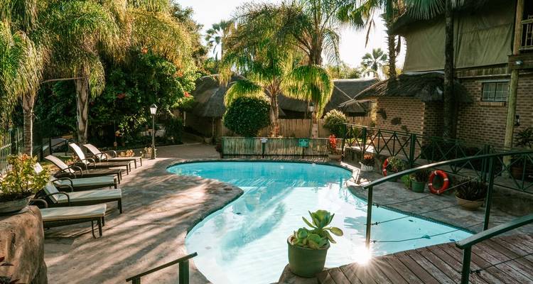 Outdoor pool surrounded by trees and lounge chairs.