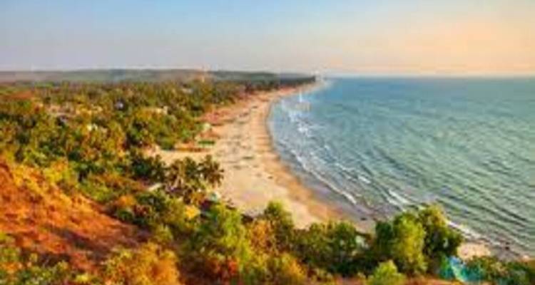 Vue panoramique d'une plage avec des palmiers et un coucher de soleil chaleureux.