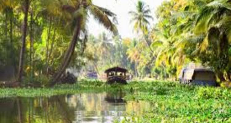 Backwaters of Kerala with a boat and palm trees.