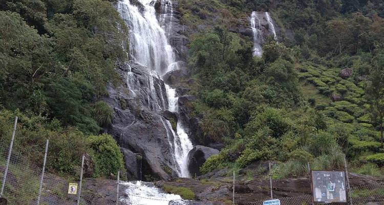 Waterfall flowing down a lush hillside with various plant life.