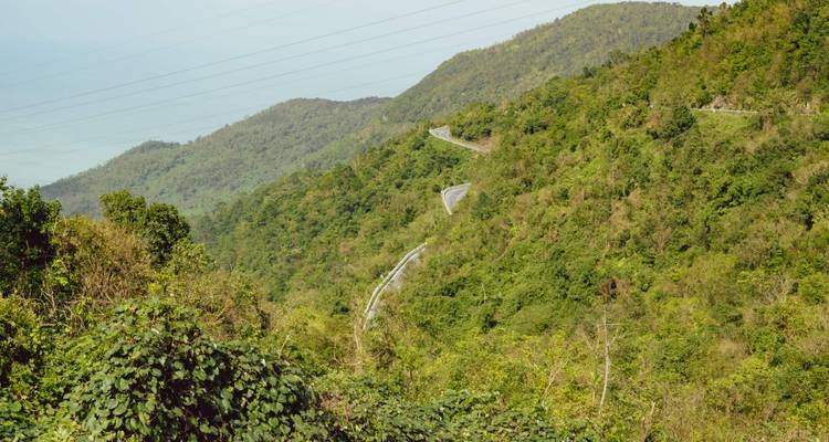 Winding mountain road cutting through dense green hillsides