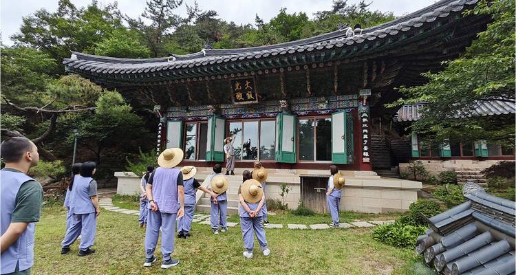 Participants in matching temple stay attire gather outside a traditional Korean hall in forested hills.