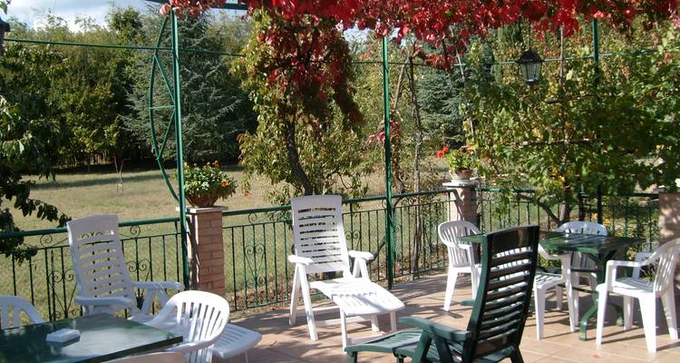 Espace de restauration en plein air avec un mélange de chaises en plastique et en bois ombragé par des feuilles de vigne rouge.