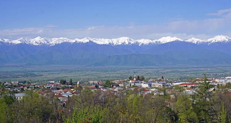 Panoramablick auf eine Stadt mit schneebedeckten Bergen.