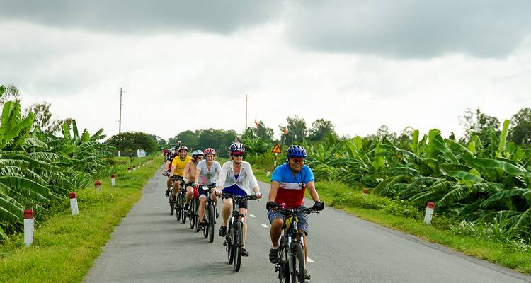 Cyclists riding through a road lined with banana plants.