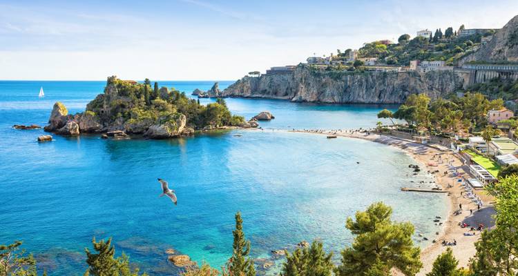 Picturesque beach with turquoise water and cliffs, a seagull flies overhead.