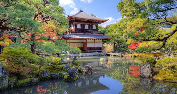 Jardin japonais traditionnel avec un temple et un étang.