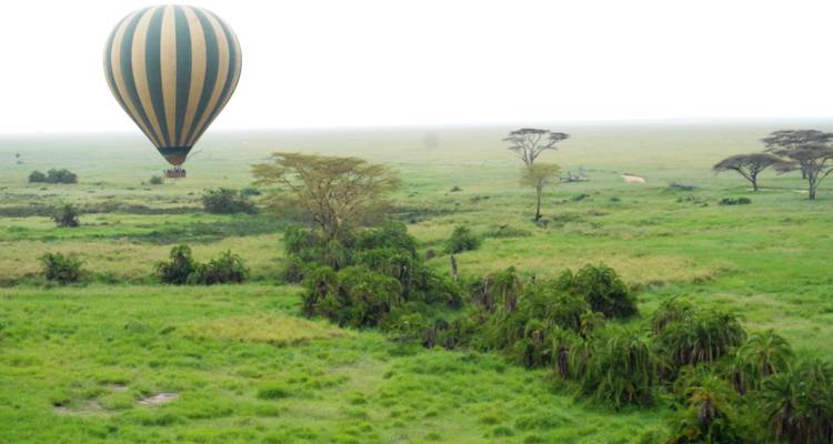 Heißluftballon fliegt über eine grasige Landschaft.