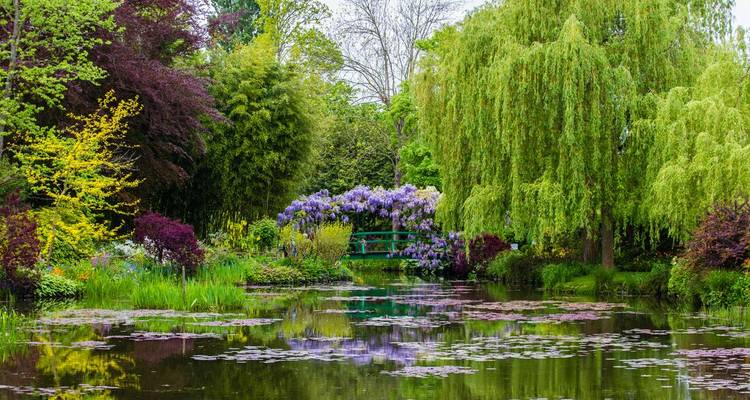 Jardin coloré avec des fleurs en fleurs et un bassin
