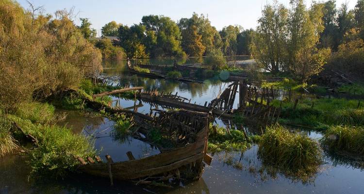 Bootwrakken in een weelderig, overwoekerd moerasgebied.