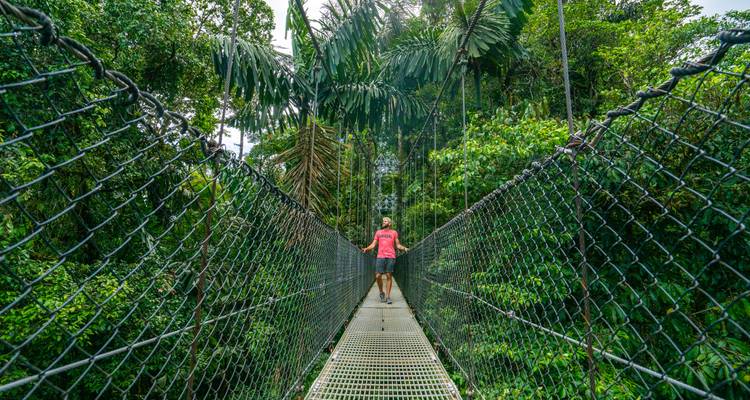 Persona cruzando un puente colgante en medio de una jungla densa.