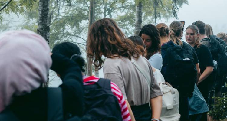 Groep mensen die door een mistig bos trekken.
