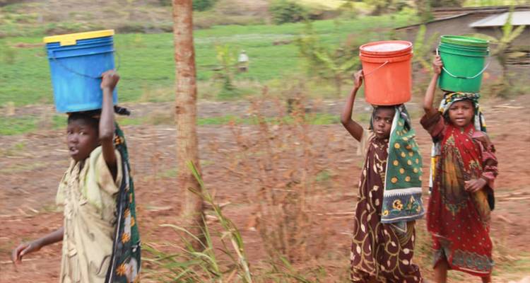 Vrouwen die emmers op hun hoofd dragen in een landelijke omgeving.