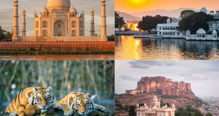 Four images: Taj Mahal, Udaipur Lake, tigers, and Mehrangarh Fort.