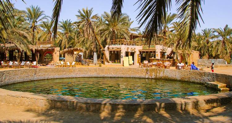 Oasis avec un bassin circulaire entouré de palmiers dattiers et de bâtiments rustiques.