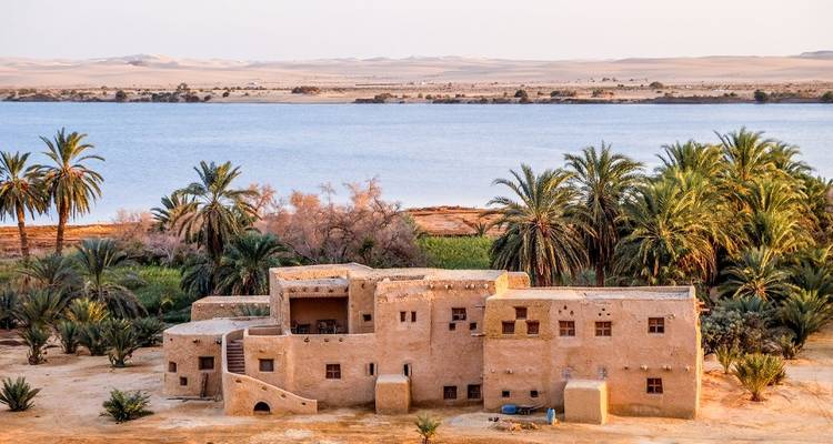 Bâtiment du désert avec un arrière-plan luxuriant d'un lac et de palmiers.