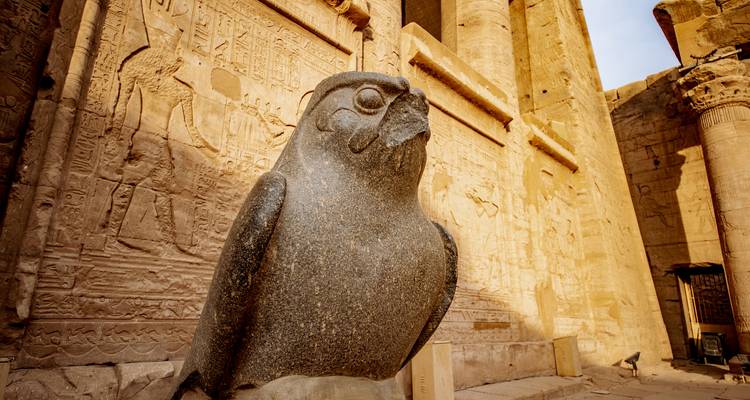 Granite statue of the falcon god Horus stands before hieroglyphic walls in Edfu Temple.