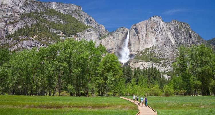 Cascade et prairie dans le parc national de Yosemite.