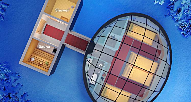 Diseño ilustrado de un iglú con secciones etiquetadas: ducha, sauna, WC.