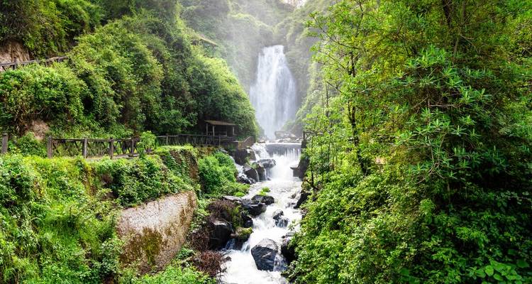 A picturesque waterfall in a lush, forested area.